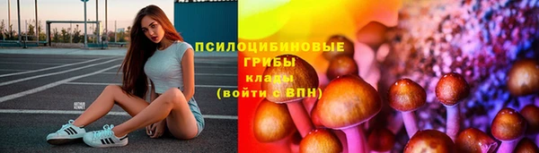 a pvp Киренск