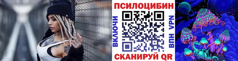 Купить где  Дорогобуж  Галлюциногенные грибы GOLDEN TEACHER 