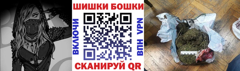 Купить где  Дорогобуж  Канабис сатива 
